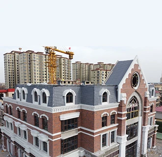 布基纳法索案例展示